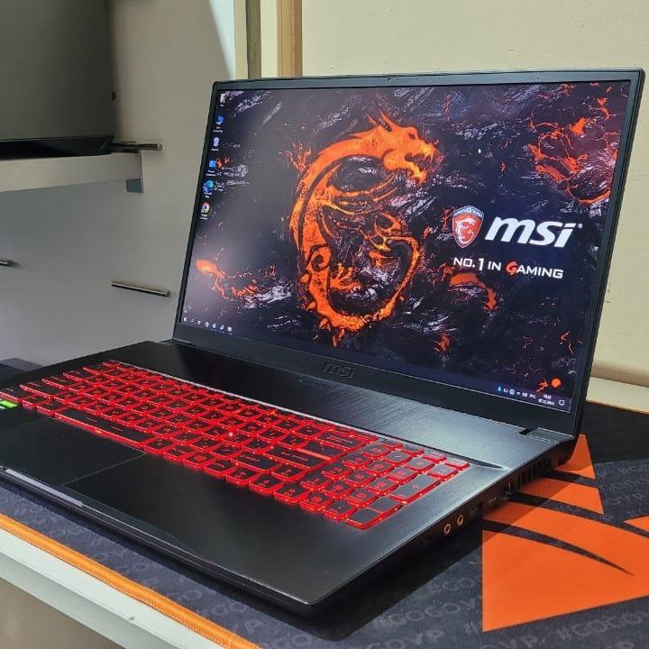 Игровой msi 17.3