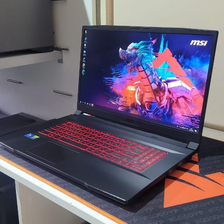 Игровой msi 17.3