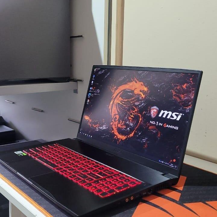 Игровой msi 17.3