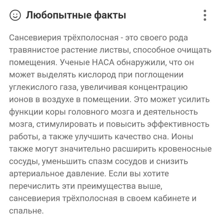 Сансевиерия трёхполосная (щучий хвост/тёщин язык)