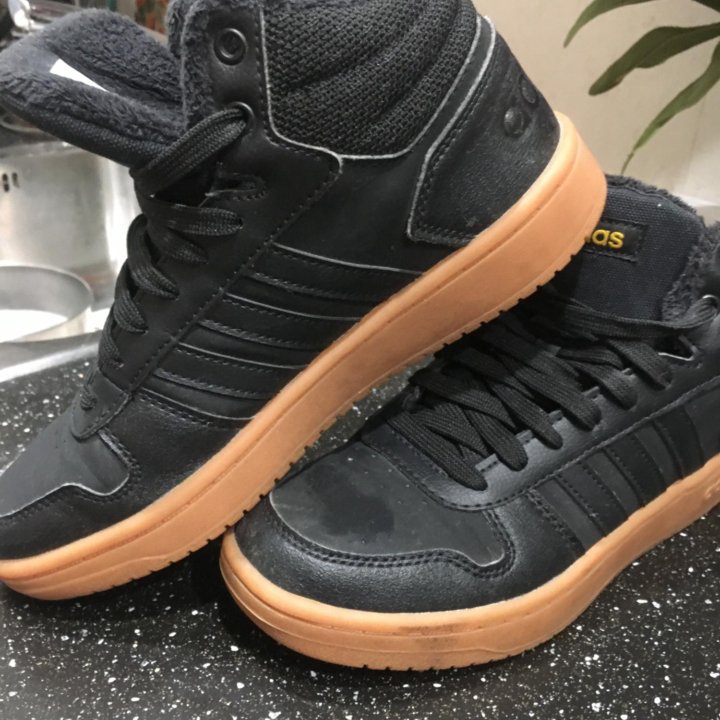 Кроссовки Adidas Hoops FW3501