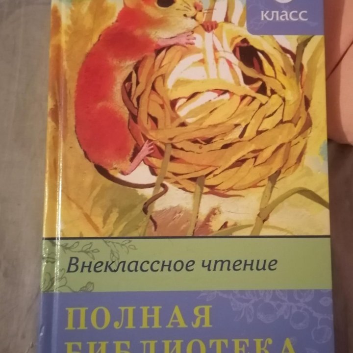 Книга - учебник внеклассное чтение 3 класс