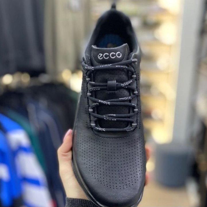 Кроссовки Ecco Biom