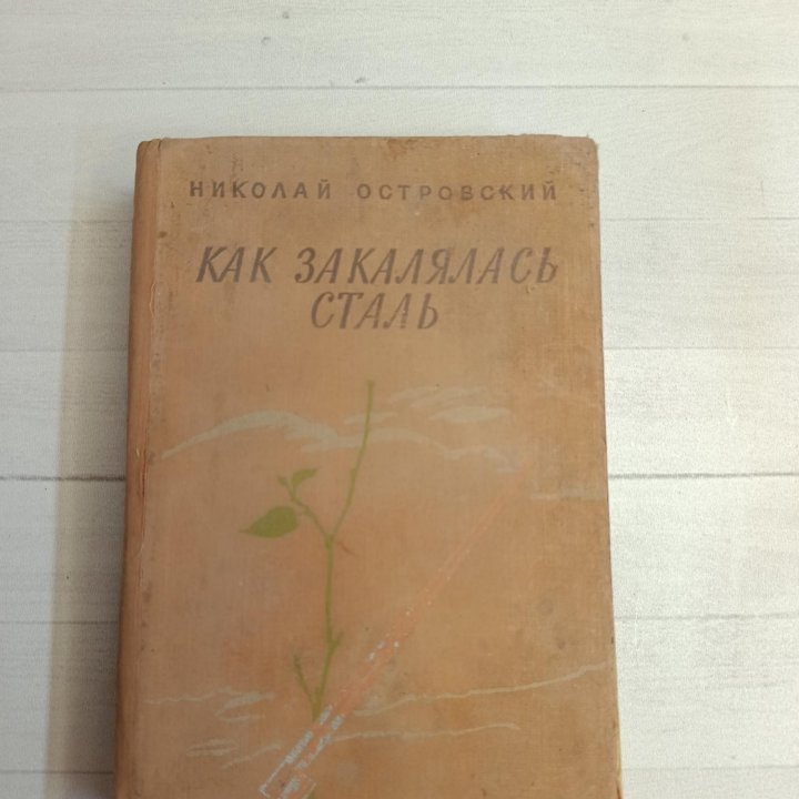 Книга Н.А. Островский 