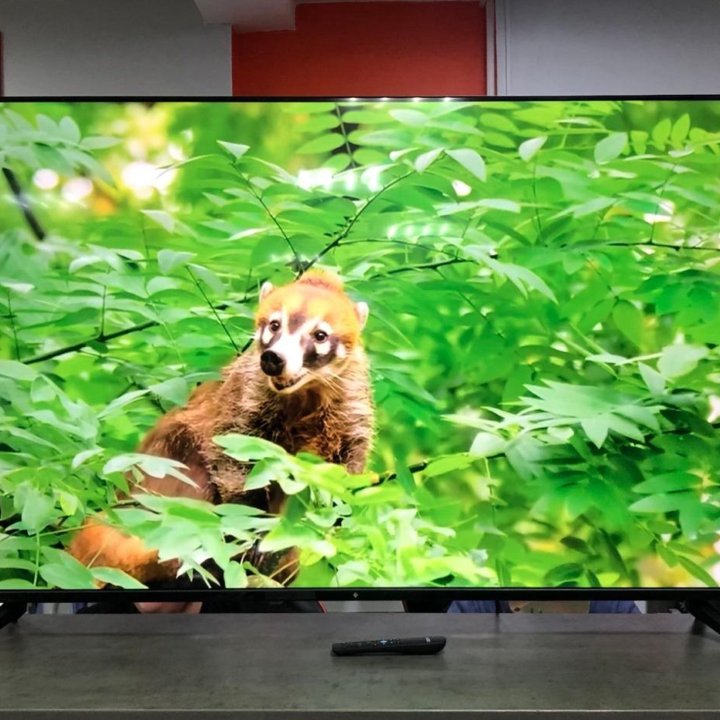 Dexp 55(140)/Smart TV/Wi-Fi/4k UHD (3840x2160)