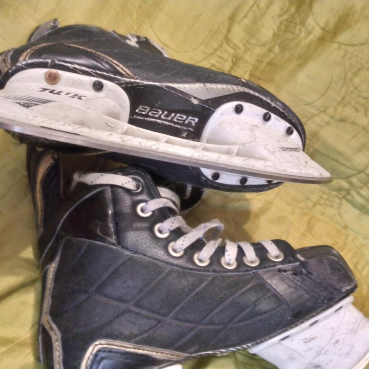 Коньки хоккейные Bauer Nexus 800 -3EE/36 cm