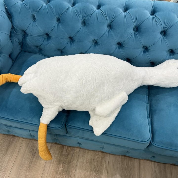 Гусь обнимусь