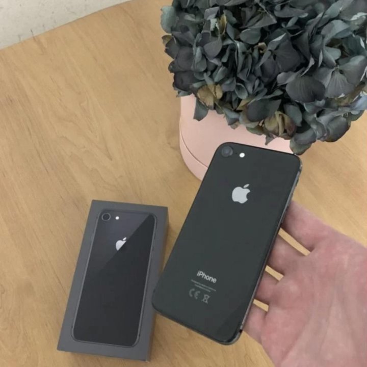 iPhone 8 256GB Идеал Ростест