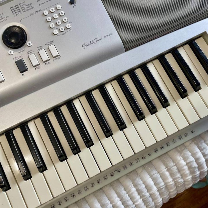 Синтезатор Yamaha Portable Grand DGX-220