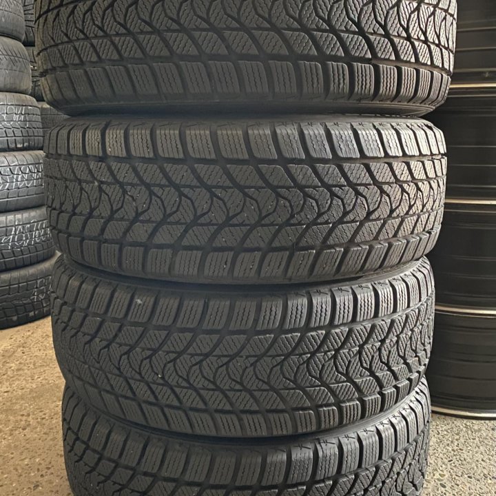 Delinte Winter WD1 205/60 R16❄️