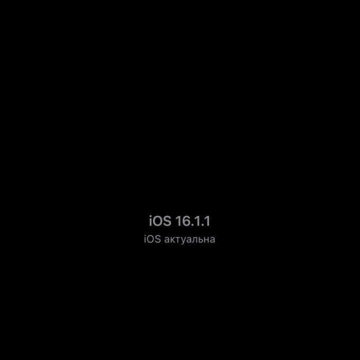 iPhone (Айфон) 11 Pro Max Space Grey 256gb