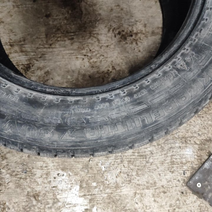 245/55 R19