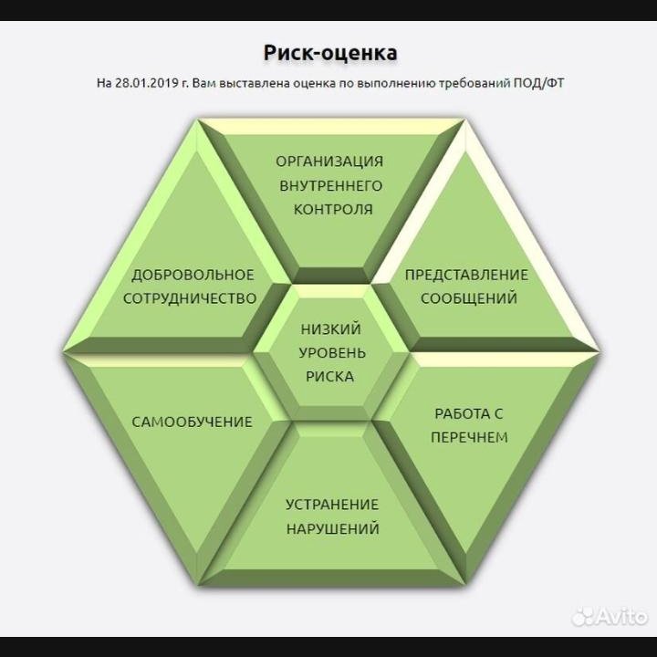 Ведение личного кабинета Росфинмониторинг