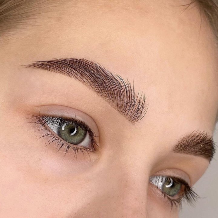 Курс Brow Master