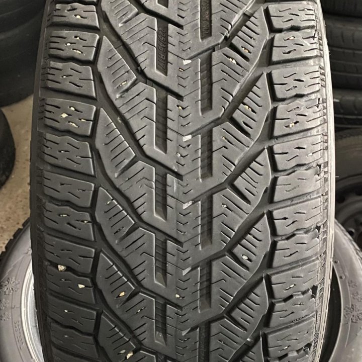 Tigar Winter 225/45 R17❄️