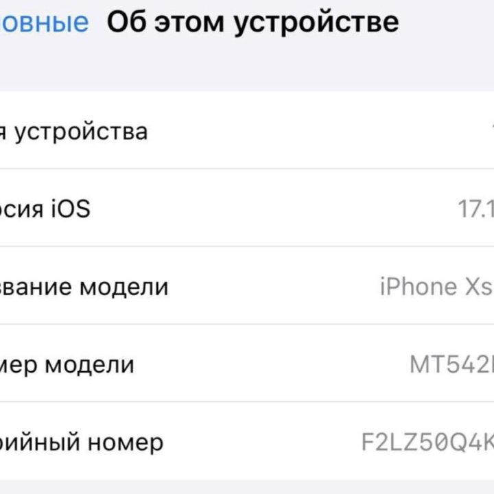 iPhone XS Max 256 GB