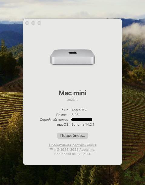 Mac mini M2 8GB/512GB, наработка 166 часов