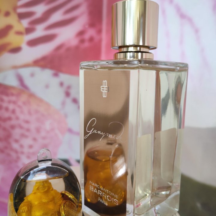 Marc Antoine Barrois Ganymede edp