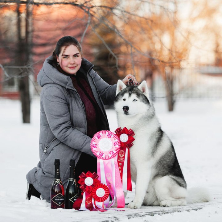 Предлагается для вязок