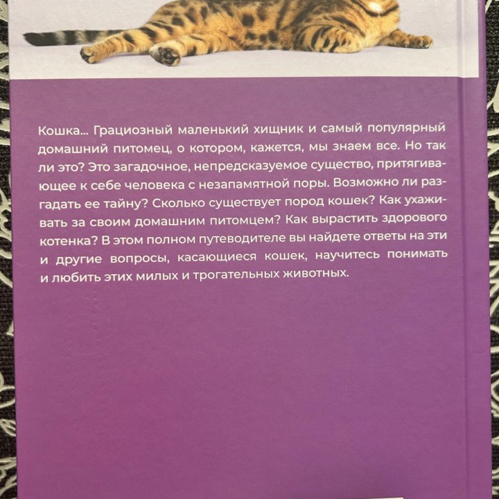 Книга Кошки