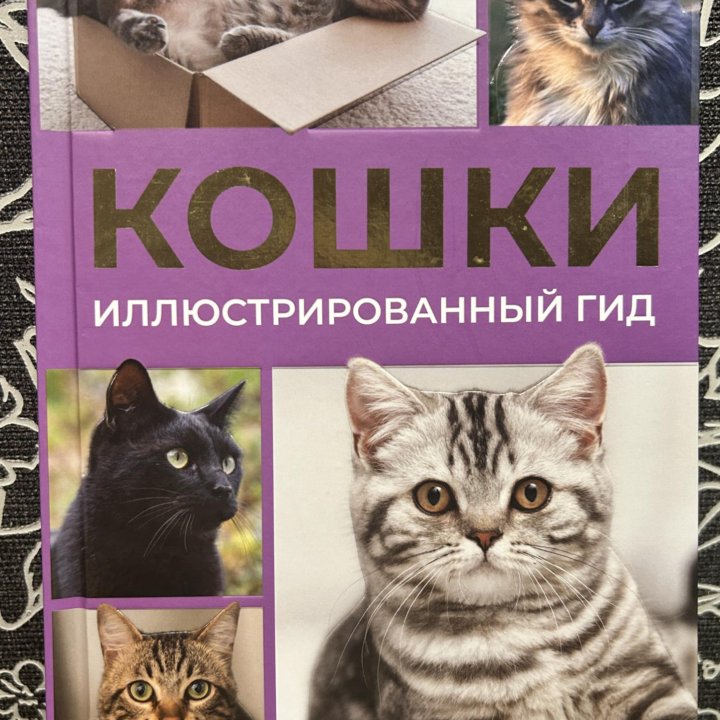 Книга Кошки