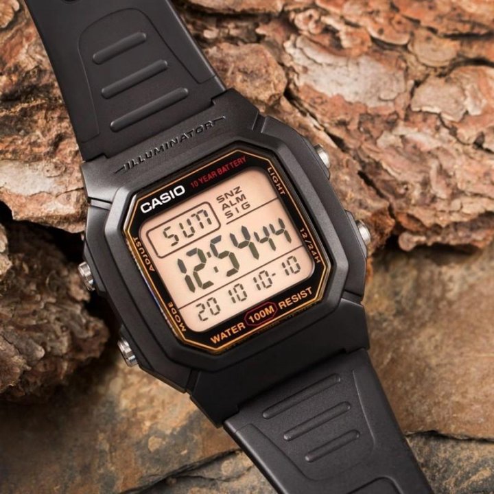 Наручные часы CASIO W-800HG-9A