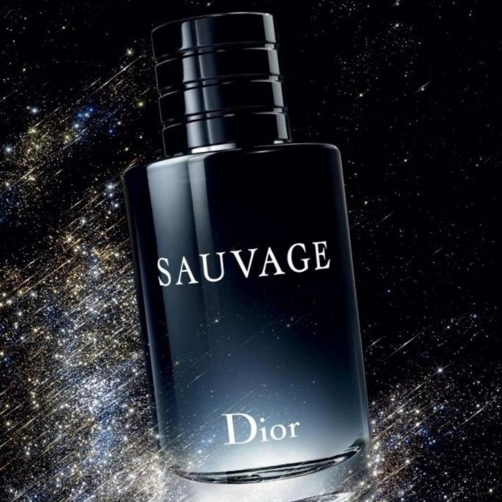 CHRISTIAN DIOR SAUVAGE