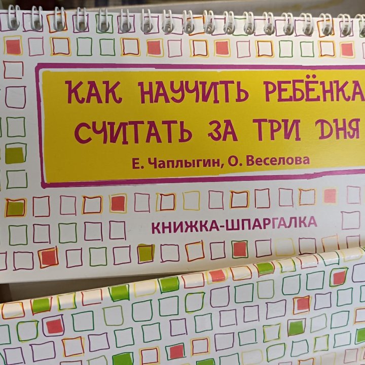 Домино Чаплыгина 