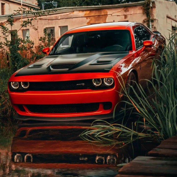 Dodge Challenger, 2020