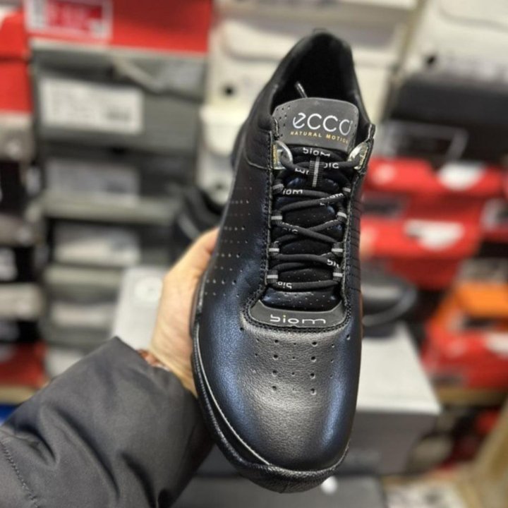 Кроссовки Ecco Biom