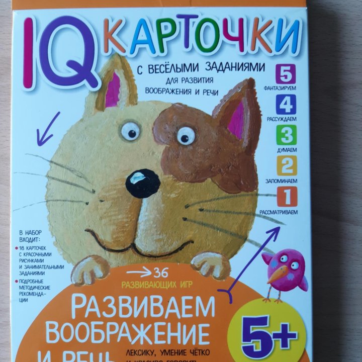 IQ карточки с весёлыми заданиями