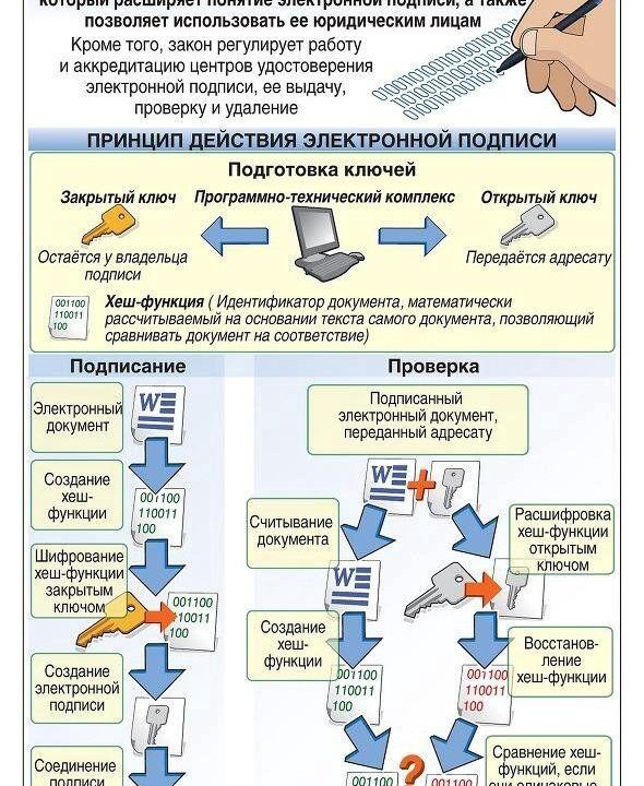 Электронная подпись (кэп, эцп). ИП, ООО, физ. лица