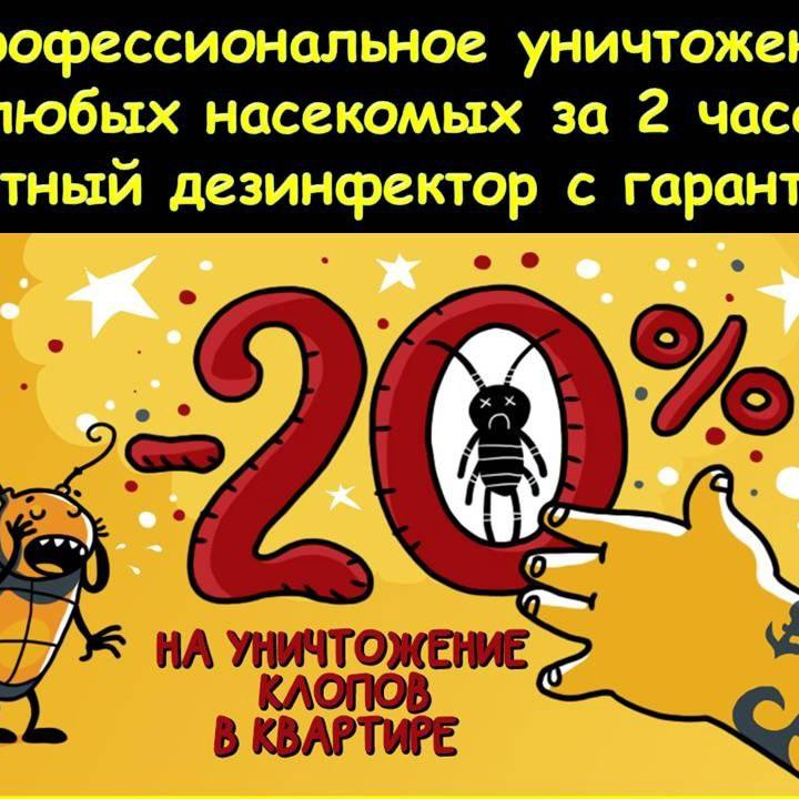 Дезинфекция Уничтожение тараканов травить клопов