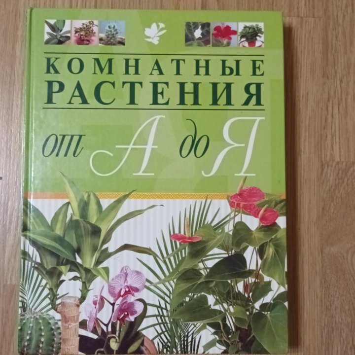 Книга комнатные рамтения от А до Я