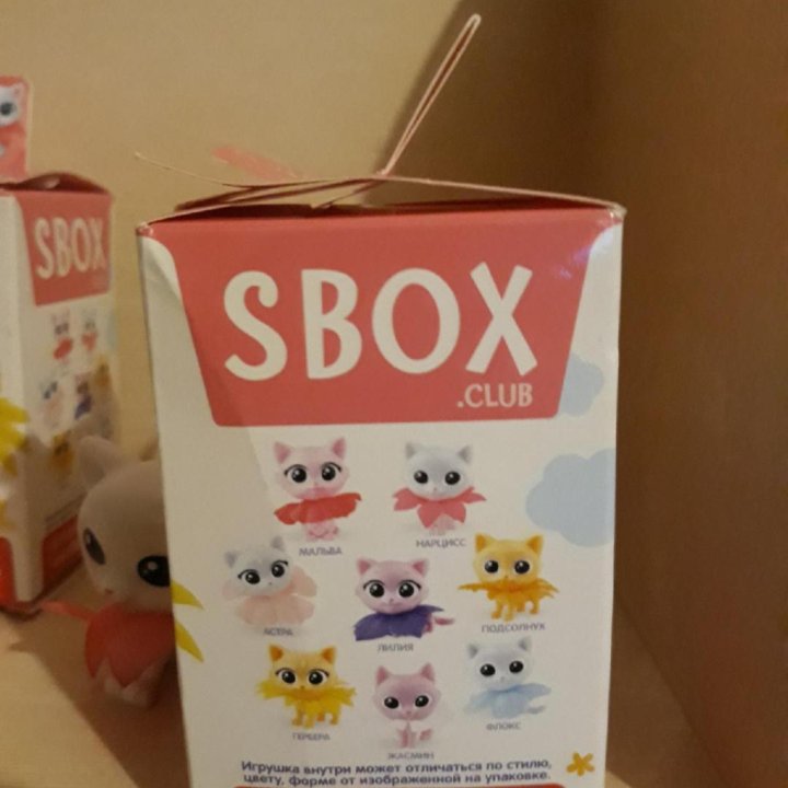 Sweet box Котосад