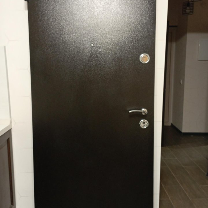 Дверь входная металлическая с наличниками.