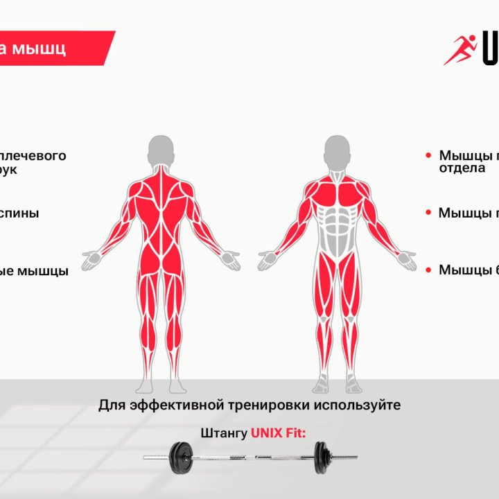 Стойки под штангу