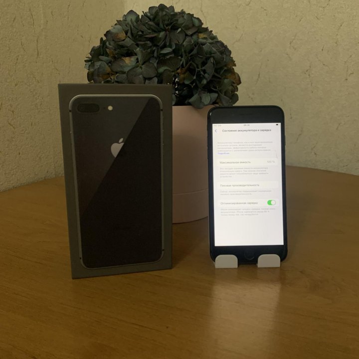 iPhone 8 Plus 256GB Ростест