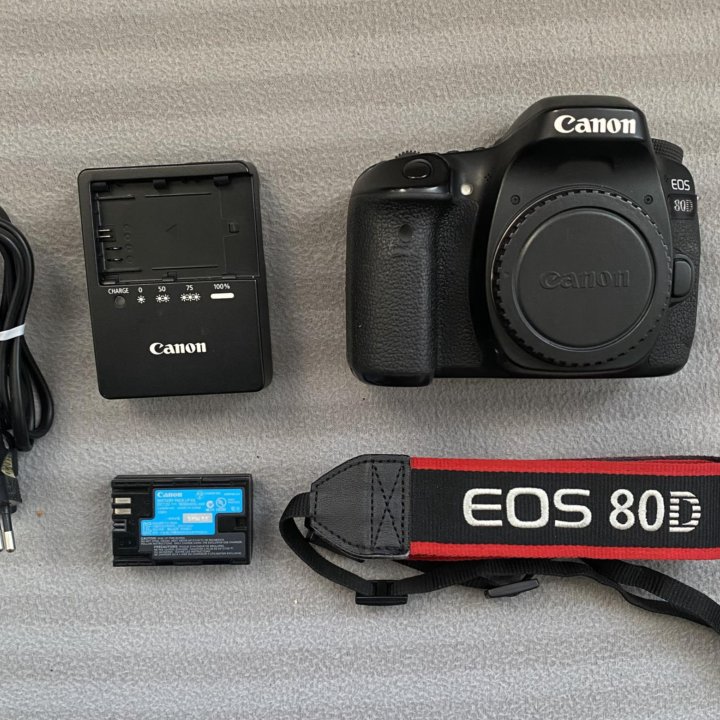 Canon EOS80 D