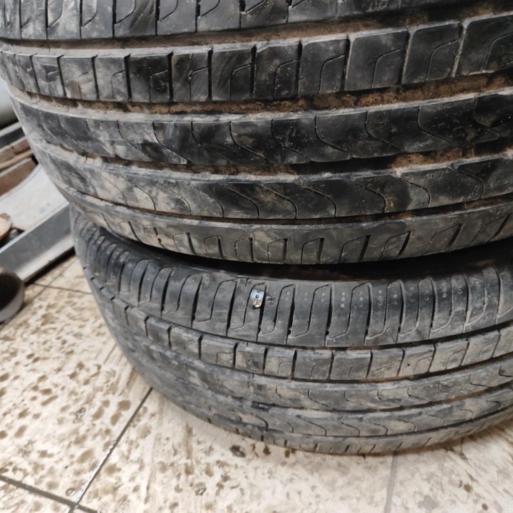 225/55 R19