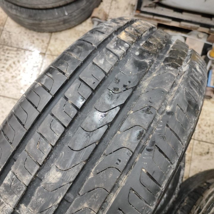 225/55 R19