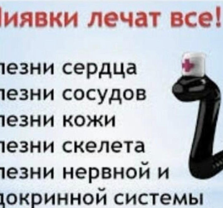 Пиявки медицинские