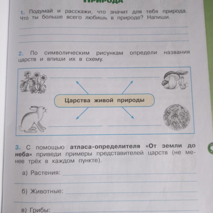 Рабочая тетрадь окружающий мир 3 кл 1часть