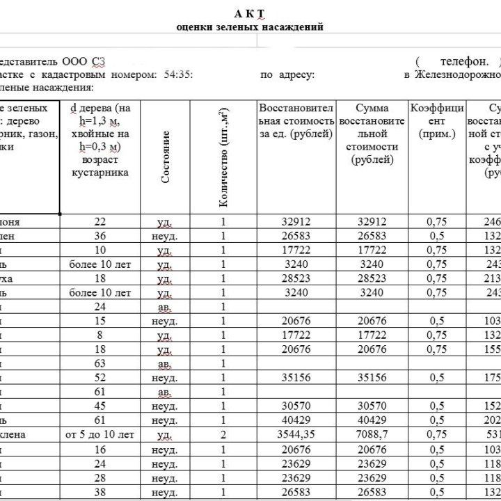 Составление акта оценки зеленых насаждений