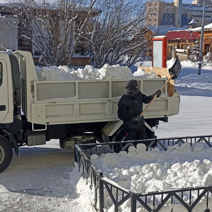 Грузовые перевозки