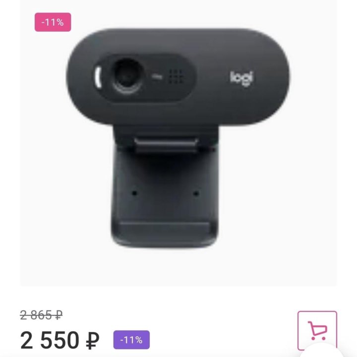 Веб-камера Logitech C505 HD Webcam