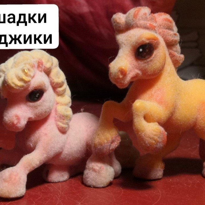 Filly и Маджики