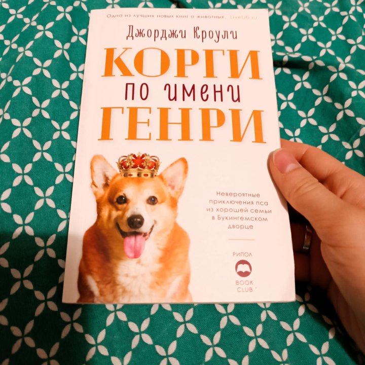 Джорджи Кроули Корги по имени Генри