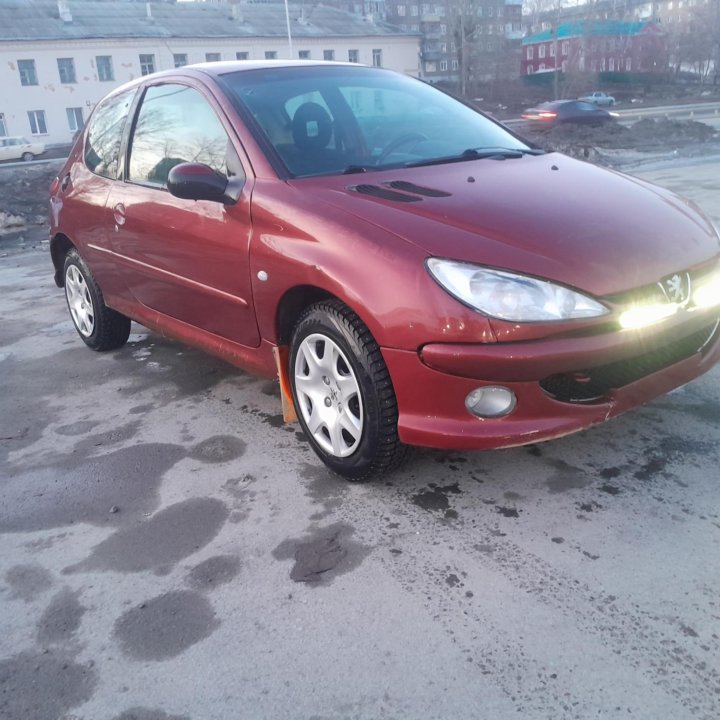 Peugeot 206, 2004