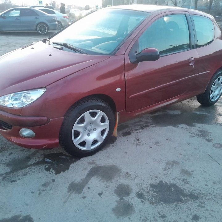 Peugeot 206, 2004